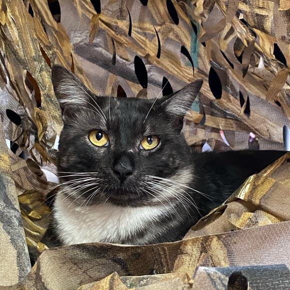 Meet your Posher, Ally! - Picture 2 of 3